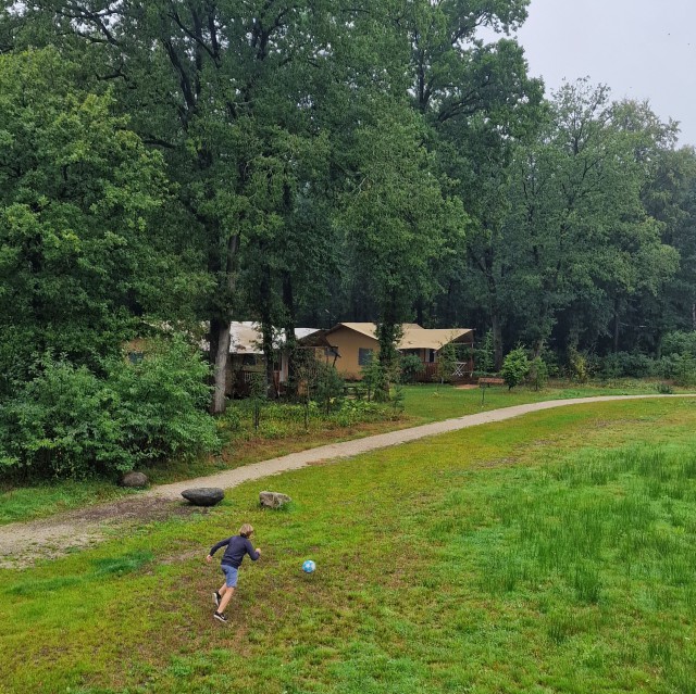 RCN Camping het Grote Bos in Doorn: review met kinderen. Er is een grote verscheidenheid aan accomodaties te huur. Van safaritenten en trekkershutten tot chalets en bungalows.