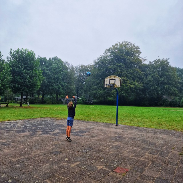 Basketbal veld