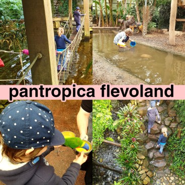 Binnen uitje kinderen Flevoland: Pantropica, voorheen de Orchideeënhoeve. Voor de vakantie hadden we een leuk buiten uitje bedacht, maar het bleef maar regenen. Op zoek naar een leuk uitje voor binnen kwamen we bij de Orchideeënhoeve in Flevoland terecht, dat inmiddels Pantropica heet. Naast bloemen vind je hier ook heel veel dieren en een grote mooie houten binnenspeeltuin. Een aanrader!