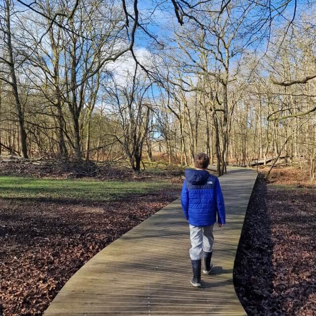 Amsterdamse Waterleidingduinen: wandelen, speeltuin, restaurant. Wat een tof gebied om te wandelen met kinderen: de Amsterdamse Waterleidingduinen. Allereerst vanwege de herten, die je van behoorlijk dichtbij kunt bekijken. Maar ook vanwege het weidse van het bos achter de duinen. En natuurlijk is er ook een restaurant met speeltuin.