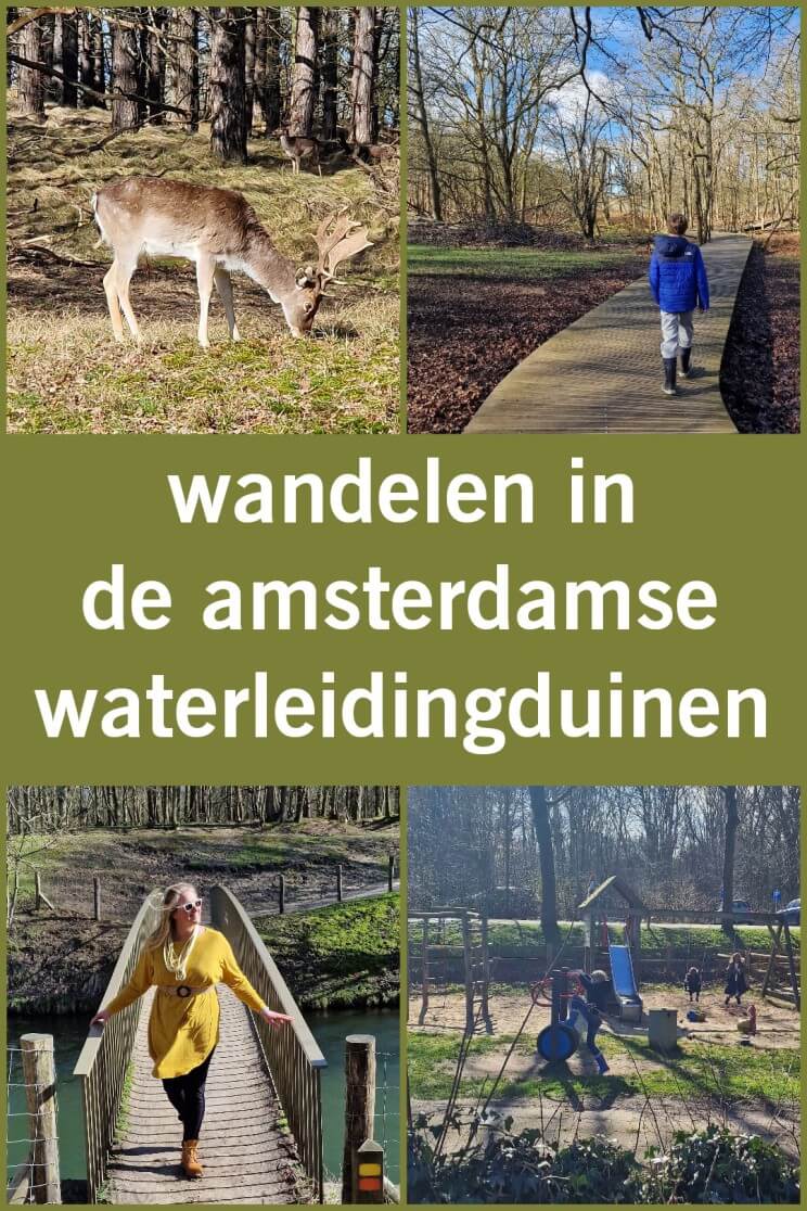 Amsterdamse Waterleidingduinen: wandelen, speeltuin, restaurant. Wat een tof gebied om te wandelen met kinderen: de Amsterdamse Waterleidingduinen. Allereerst vanwege de herten, die je van behoorlijk dichtbij kunt bekijken. Maar ook vanwege het weidse van het bos achter de duinen. En natuurlijk is er ook een restaurant met speeltuin.