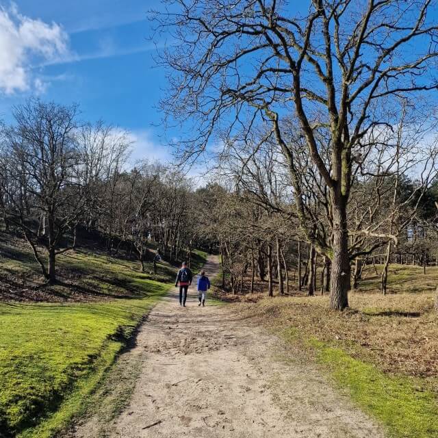 Amsterdamse Waterleidingduinen: wandelen, speeltuin, restaurant. Wat een tof gebied om te wandelen met kinderen: de Amsterdamse Waterleidingduinen. Allereerst vanwege de herten, die je van behoorlijk dichtbij kunt bekijken. Maar ook vanwege het weidse van het bos achter de duinen. En natuurlijk is er ook een restaurant met speeltuin.