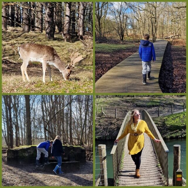 De Amsterdamse Waterleidingduinen bij Heemstede: een tof gebied om te wandelen. Allereerst vanwege de herten, die je van behoorlijk dichtbij kunt bekijken. Maar ook vanwege het weidse van het bos achter de duinen. Daarnaast is er ook een restaurant met terras en kwamen we nog een bunker tegen.