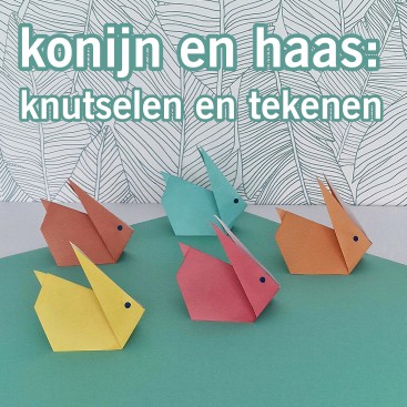 Konijn of haas knutselen en tekenen: leuke ideeën. Op zoek naar een leuk idee om een haas of konijn te knutselen of tekenen? Hier vind je leuke knutsels en tekeningen van konijntjes en haasjes.