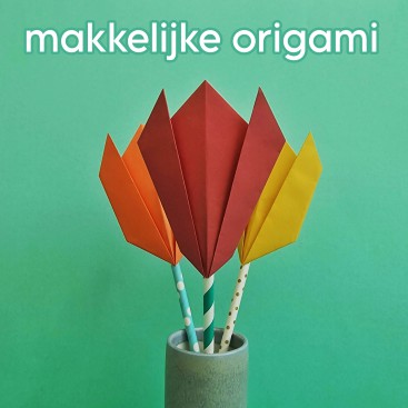 Origami vouwen: makkelijke ideeën en voorbeelden. Origami vouwen doe je met origami papier of vouwblaadjes. Maar veel origami projecten zijn best moeilijk voor kinderen en andere beginners. Daarom laat ik hier makkelijke ideeën en voorbeelden voor origami vouwen zien.