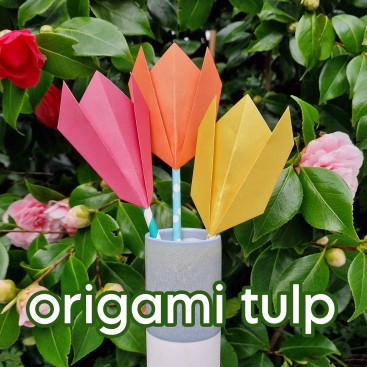 Origami tulp vouwen: uitleg in stappen. Deze tulp is een van de makkelijkste origami ideeën die je kunt vouwen. Hier zie je de uitleg in stappen van deze origami tulp.