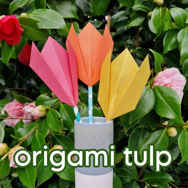 Origami tulp vouwen: uitleg in stappen. Deze tulp is een van de makkelijkste origami ideeën die je kunt vouwen. Hier zie je de uitleg in stappen van deze origami tulp.