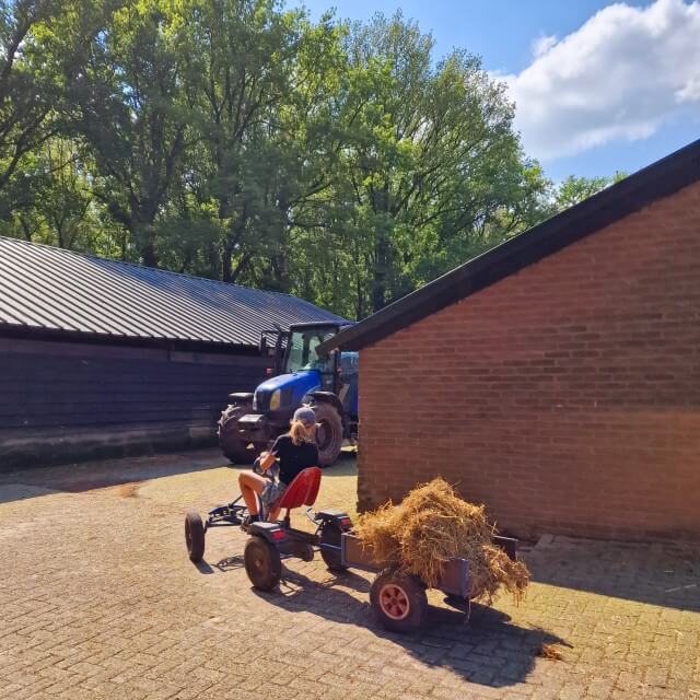 BoerenBed Landgoed Volenbeek review: bijzonder overnachten op de boerderij met kinderen. Het allerleukste aan een verblijf op de boerderij: je mag de boer en boerin helpen. En dat hebben de kinderen heel veel gedaan. Kalfjes voeren, hokken schoonmaken, hooi verplaatsen en het winkeltje bevoorraden: ze konden er geen genoeg van krijgen.