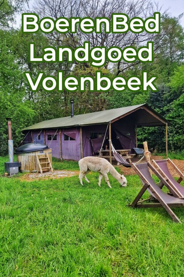 BoerenBed Landgoed Volenbeek review: bijzonder overnachten op boerderij met kinderen. Op zoek naar een bijzondere plek om te overnachten met kinderen? Bij deze BoerenBed op de Veluwe slaap je in een safaritent op de boerderij. Kinderen helpen de boer en boerin en knuffelen met kalfjes, konijnen en cavia’s. En wandelen met de alpaca, want die is er ook! Bekijk onze review van BoerenBed Landgoed Volenbeek.