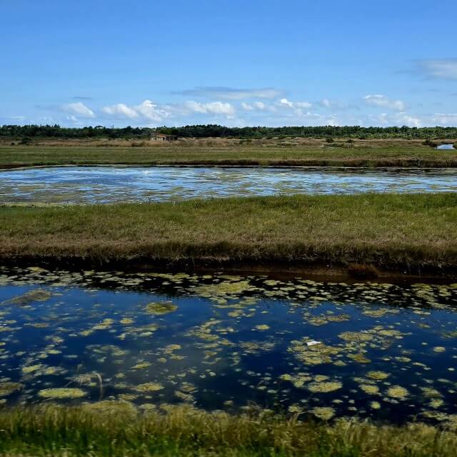 De bekende marais, moerassen met slootjes, die je op de kaart al ziet.