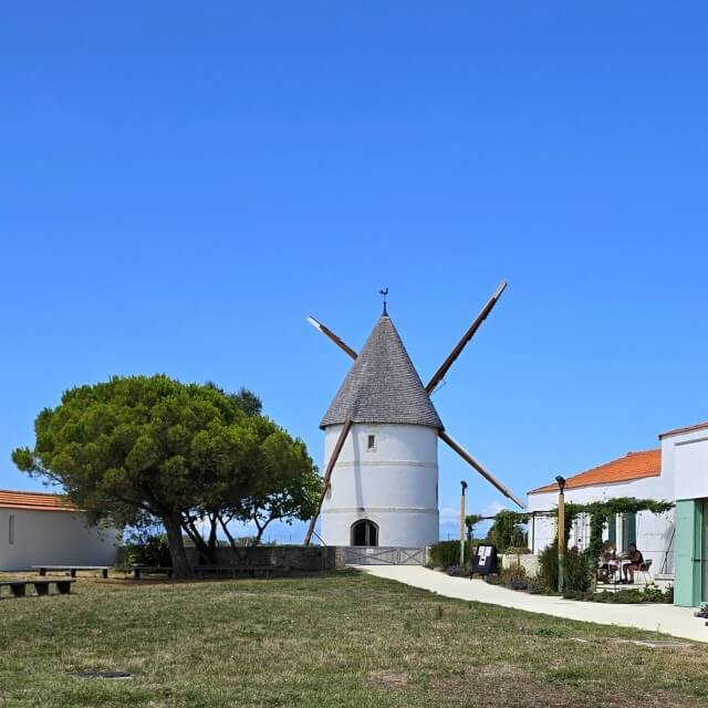 Île d’Oléron heeft een aantal historische plekken, die leuk zijn om te bekijken met kinderen. Le Moulin de La Brée is een typisch Franse oude windmolen. Er is hier ook een restaurantje.