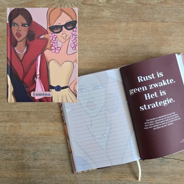 De vrouwelijke cyclus wordt steeds vaker beschreven aan de hand van de seizoenen. Ik heb gemerkt dat het helpt om te begrijpen hoe je je voelt. Maar ik vind het soms best moeilijk te herkennen. Lumina heeft daarom een notebook gemaakt dat je helpt om inzicht te krijgen. Ik kreeg het van ze en ga het nu dus regelmatig invullen!