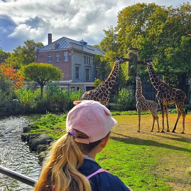 Onze kids bucketlist voor deze herfst: herfstvakantie activiteiten. Wij gaan deze herfstvakantie naar ARTIS. Er zijn allerlei herfstvakantie activiteiten en nieuwe bewoners. Zo is er een vicuna geboren. Verder gaan we naar ARTIS-Groote Museum, een interactief natuurmuseum. Hier onderzoek je hoe mens, dier, plant en microbe hun ecosysteem delen. Je voelt, proeft, hoort, ruikt en ziet dat we allemaal natuur zijn.