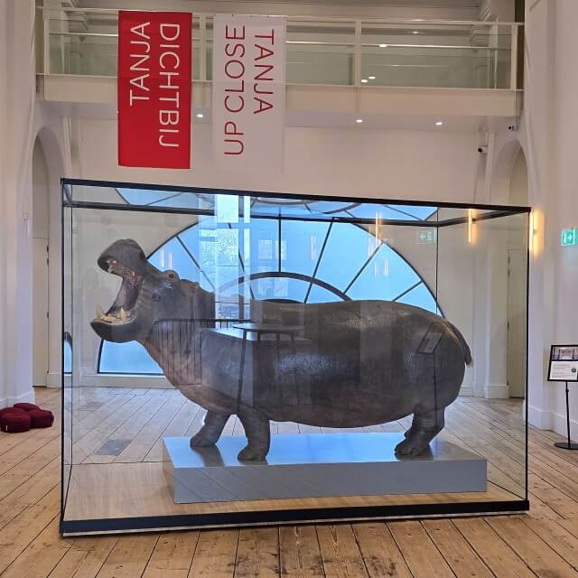 ARTIS Groote Museum laat de relatie zien tussen de mens en de rest van de natuur. Het iconische nijlpaard Tanja neemt je mee in een speurtocht en audiotour. Dit interactieve uitje in het centrum van Amsterdam is interessant met oudere kinderen en tieners.