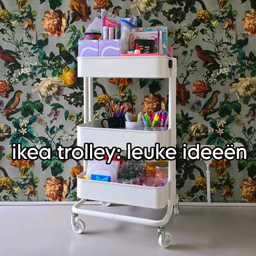 Ikea Raskog trolley: ideeën om dat leuke rolkarretje te gebruiken. Sommige dingen zijn zo cool dat je een reden zoekt om ze te kopen. De Ikea Raskog trolley is zo’n ding, dat is dat leuke rolkarretje. Eigenlijk hebben we hem helemaal niet nodig, maar hij is zoooo leuk… Daarom verzamelen we hier een aantal redenen om hem te gebruiken.
