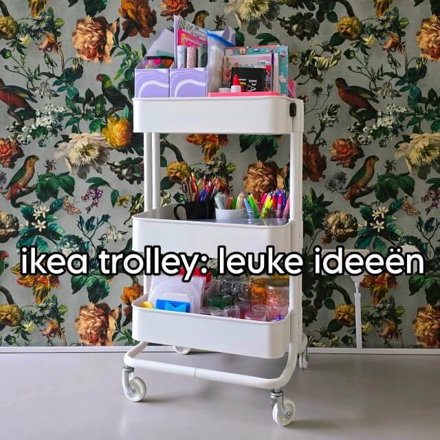 Ikea Raskog trolley: ideeën om dat leuke rolkarretje te gebruiken. Sommige dingen zijn zo cool dat je een reden zoekt om ze te kopen. De Ikea Raskog trolley is zo’n ding, dat is dat leuke rolkarretje. Eigenlijk hebben we hem helemaal niet nodig, maar hij is zoooo leuk… Daarom verzamelen we hier een aantal redenen om hem te gebruiken.