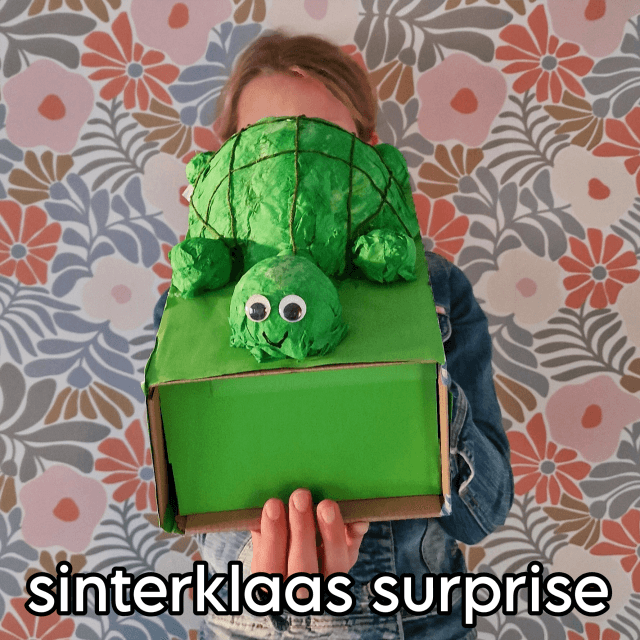 Sinterklaas surprise maken: 100 leuke ideeën om te knutselen. Ons meisje van 11 jaar maakte deze schildpad surprise voor een jongen van school in groep 7. Het was namelijk zijn lievelingsdier.