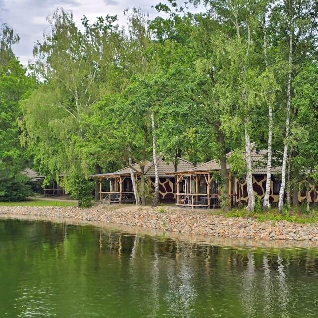 Lake Resort Beekse Bergen: luxe camping en vakantiehuizen. Wauw dit is gewoon in Nederland! Wij gingen kamperen in Afrikaanse sferen op Lake Resort Beekse Bergen. Het ligt aan een mooi zwemmeer, het terras van het restaurant en de strandspeeltuin zijn hier ook. Binnen zijn er nog een zwembad en een binnenspeeltuin. Daarnaast ben je met het treintje zo in het Safaripark en in Speelland Beekse Bergen.