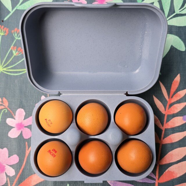 Ook fijn: het goede oude plastic eierdoosje. Onmisbaar als je naar de volgende camping verhuist en nog eieren hebt. Maar ook fijn als je eieren in de koelbox wil doen, met heel warm weer. Wij hebben een van Koziol gekocht bij een campingwinkel.