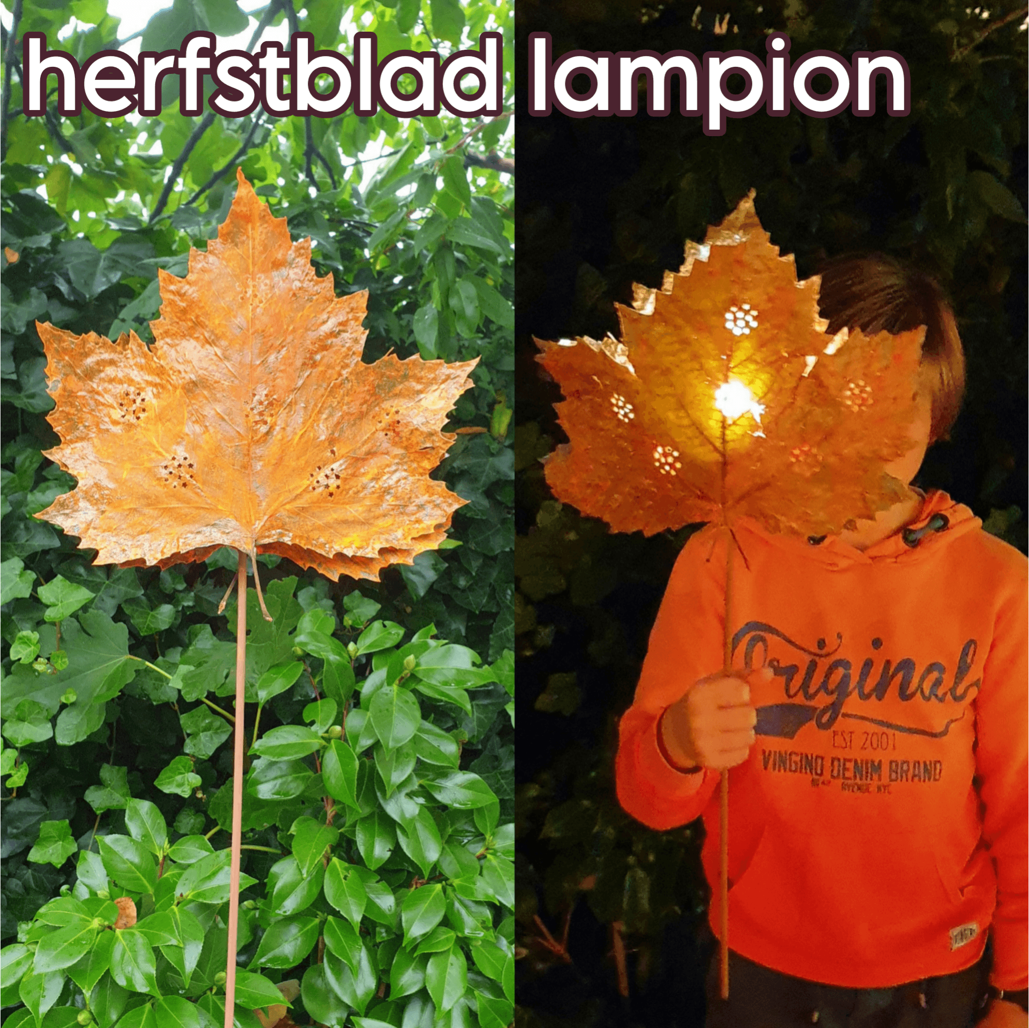 Lantaarn knutselen van herfstblad. Op zoek naar een bijzondere lampion? Dan kun je een lantaarn knutselen van herfstblad. Zo maakten we deze lantaarn.